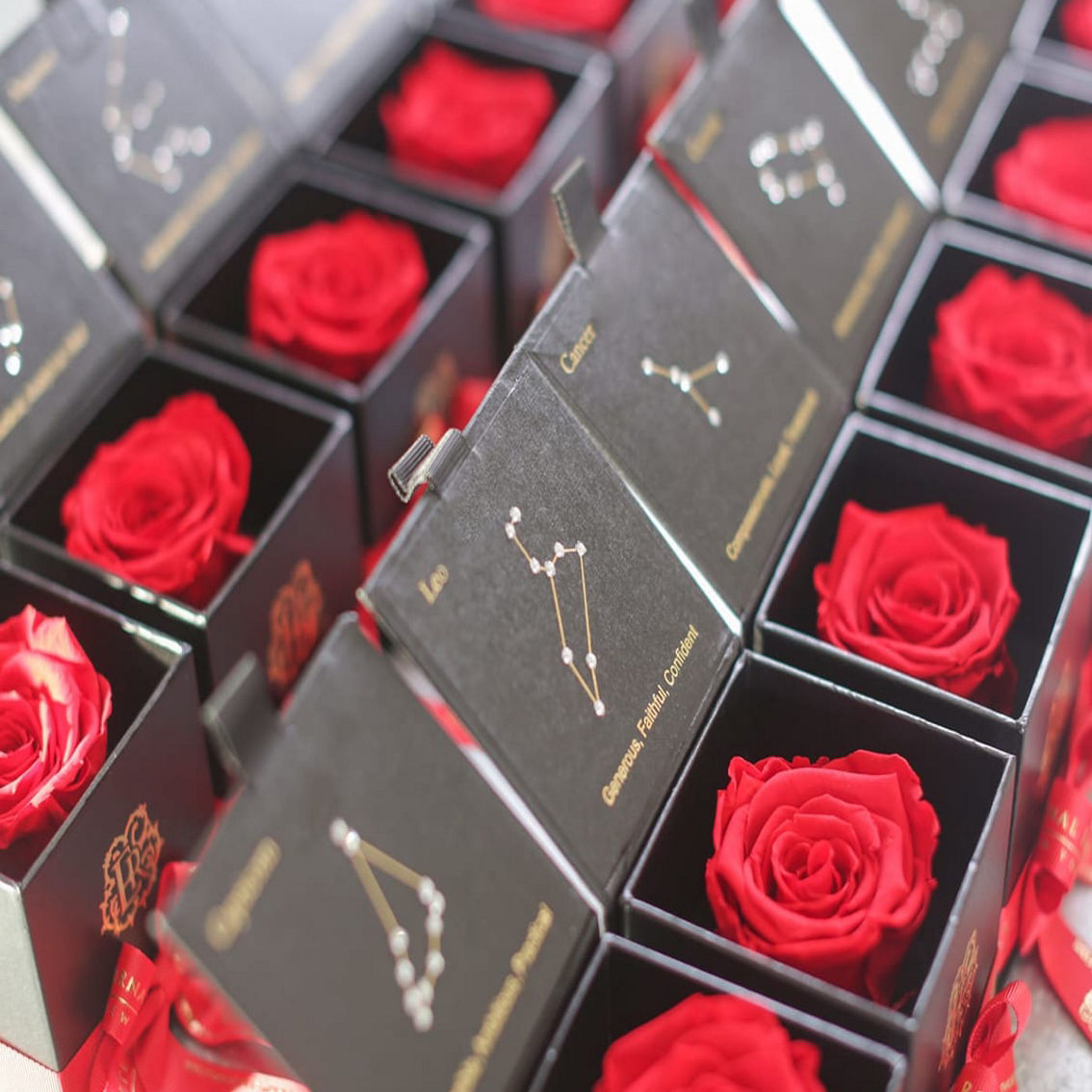 Eternal Roses Astor Gift Box: Virgo in Scarlet - Image 2 of 2