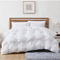 Truly Soft Cloud Puffer Comforter Set - Image 1 of 6