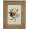 Simply Perfect Wood Frame Vintage Botanical Wall Art, 2 pk. - Image 2 of 2