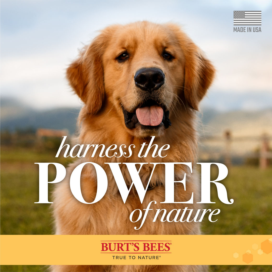 Burts Bees Oatmeal Dog Shampoo with Colloidal Oat Flour and Honey 16 oz. - Image 8 of 8