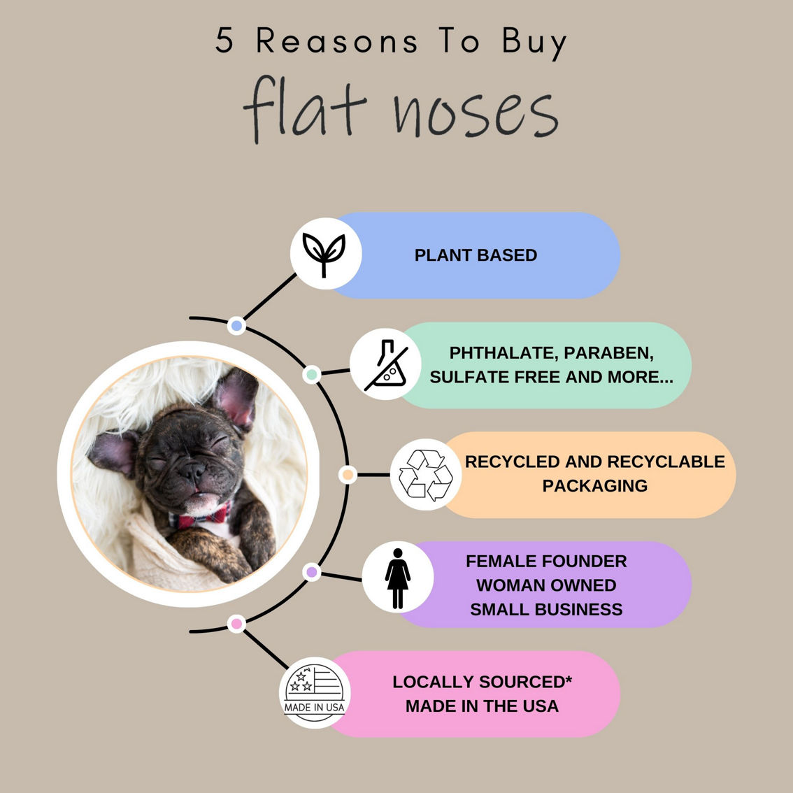 Flat Noses Tearless Dog Shampoo and Conditioner Set - Image 4 of 4