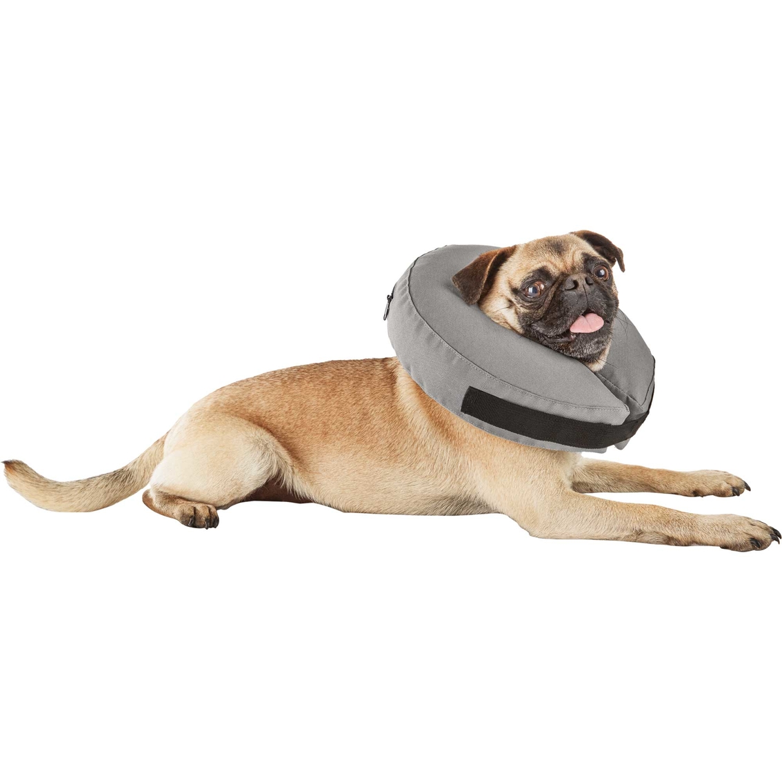 Well & Good Inflatable Collar for Pets - Image 8 of 10