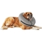Well & Good Inflatable Collar for Pets - Image 7 of 10