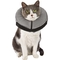 Well & Good Inflatable Collar for Pets - Image 9 of 10