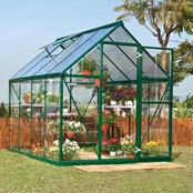 Palram Nature Hybrid 6 ft. x 8 ft. Greenhouse