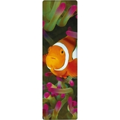 IF National Geographic Clown Anemonefish 3-D Bookmark