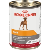 Royal Canin Adult Canine Health Nutrition in Gel Canned Dog Food