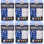 ReadyWise Simple Kitchen Freeze Dried Blueberries and Yogurt 6 pk.