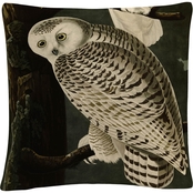 Trademark Fine Art John James Audubon Snowy Owl Decorative Throw Pillow