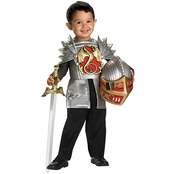 Disguise Ltd. Toddler Boys Knight Of The Dragon Costume