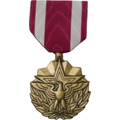 Meritorious Service Medal, Large