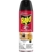 Raid Ant & Roach Killer Fragrance Free 17.5 Oz.