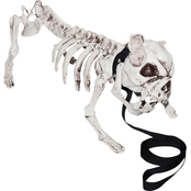 Sunstar Skeleton Dog