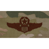 Air Force Badge Pilot Command Sew-On (OCP)