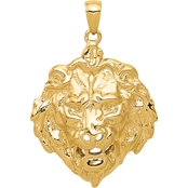 14K Yellow Gold Lion's Head Charm