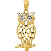 14K Yellow Gold and Rhodium Accented Owl Charm