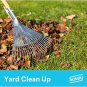 Handy Yard Cleanup (less than 3,000 sq. ft.)