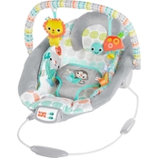 Bright Starts Whimsical Wild Bouncer