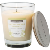 Candle-Lite Essential Elements Coconut Water & Palm Leaf Candle 14.75 oz.