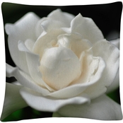 Trademark Fine Art Lovely Gardenia Decorative Throw Pillow