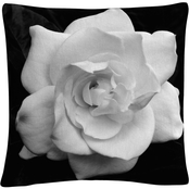 Trademark Fine Art Gardenia in Black and White Decorative Throw Pillow