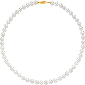 14K Gold Akoya Pearl 18 in. Necklace