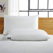 Serta White Goose Feather and Down Fiber Back Sleeper Pillow, 2 pk.