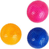 Leaps & Bounds Romp and Run Spiny Ball Dog Toy