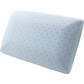 Rio Home Fashions Artic Sleep Memory Foam Standard Pillow