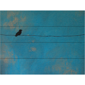 Trademark Fine Art Nicole Dietz Lone Bird Blue Wood Slat Art
