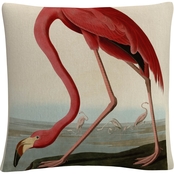 Trademark Fine Art John James Audobon American Flamingo Decorative Throw Pillow
