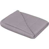 Hastings Home Weighted Throw Blanket