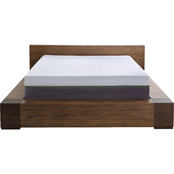 Motion Trend 12 in. Copper Infused Memory Foam Mattress with M4000 Adjustable Base