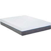 Motion Trend 12 in. Plush Gel Infused Memory Foam Mattress with Adjustable Base