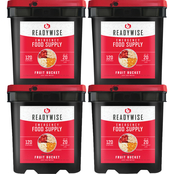 ReadyWise Emergency Food Freeze Dried Fruit Bucket 480 servings