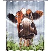 Allure Maybell Shower Curtain