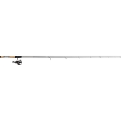 Lew's Speed Spin 30 High Speed 6'6 1 Med Spinning Combo