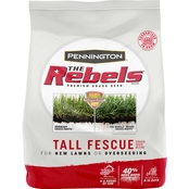 Pennington The Rebels Tall Fescue Blend Grass Seed 3 lb.