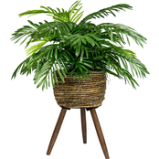 LCG Florals Phoenix Palm in Deco Basket Stand