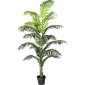 LCG Florals 72 in. Palm Tree in a Pot