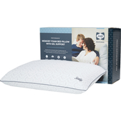 Sealy Response Memory Foam Pillow with Support Gel