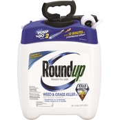 Roundup Ready to Use Weed & Grass Killer III with Pump 'N Go 2 Sprayer 1.33 gal.