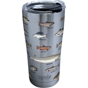 Tervis Tumblers Here Fishy 20 oz. Stainless Steel Tumbler