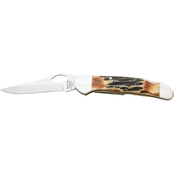 Bear & Son Cutlery 3.75 in. Genuine India Stag Bone Damascus Locking Cowhand Knife