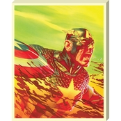 Marvel Captain America Green Orange Painting Printed Canvas 16 x 20
