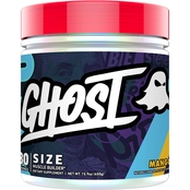 Ghost Size V2 30 Servings