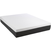 Motion Trend 12 in. Zoned Memory Foam Mattress with M4000 Adjustable Base