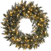 National Tree Company 24 in. Glittery Bristle Pine Wreath
