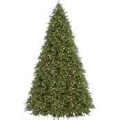National Tree Company Jersey Fraser Fir Tree with Clear Lights