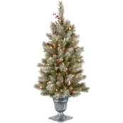 National Tree Company 4 ft. Snowy Bristle Berry Entrance Tree with Clear Lights